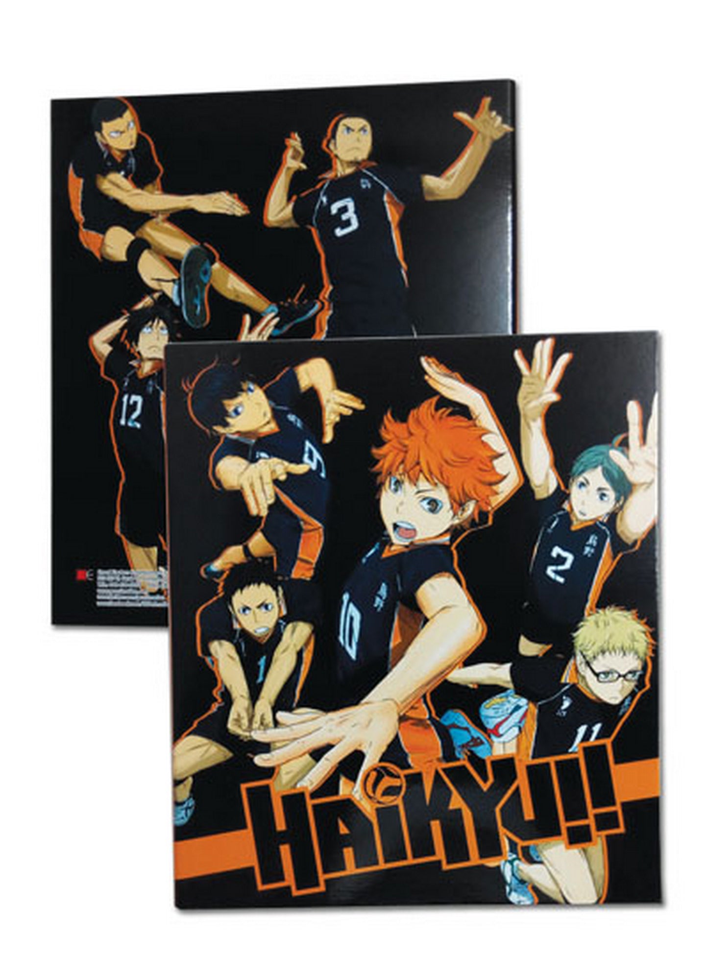 Haikyu - Team Binder