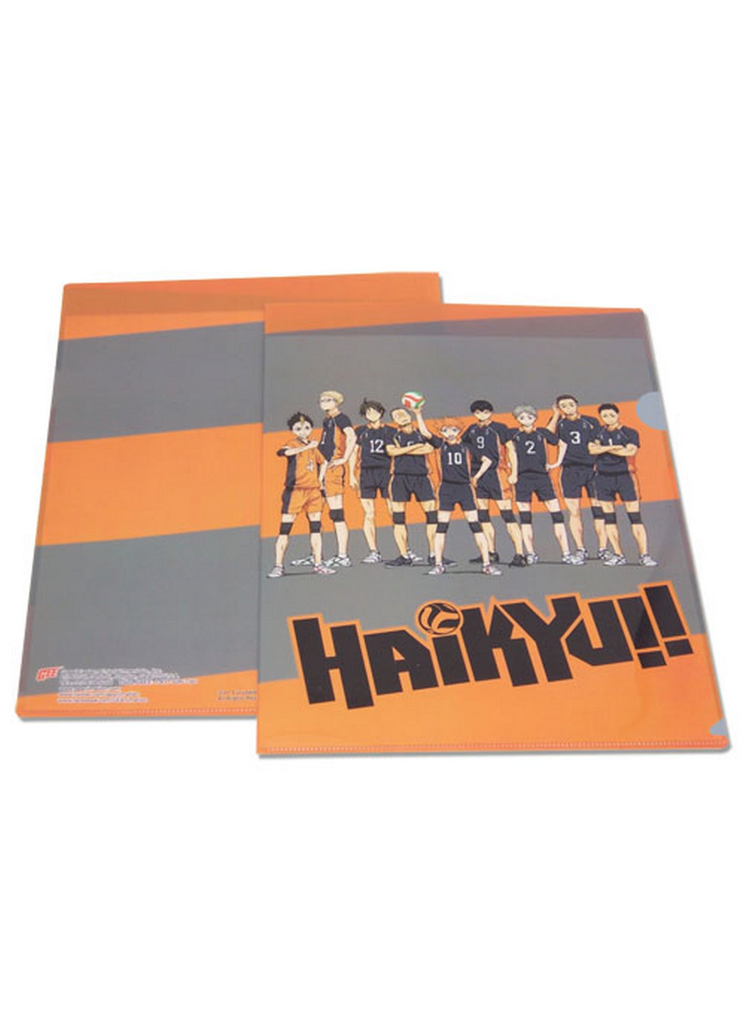 Haikyu - Team File Folder (5 Pcs)