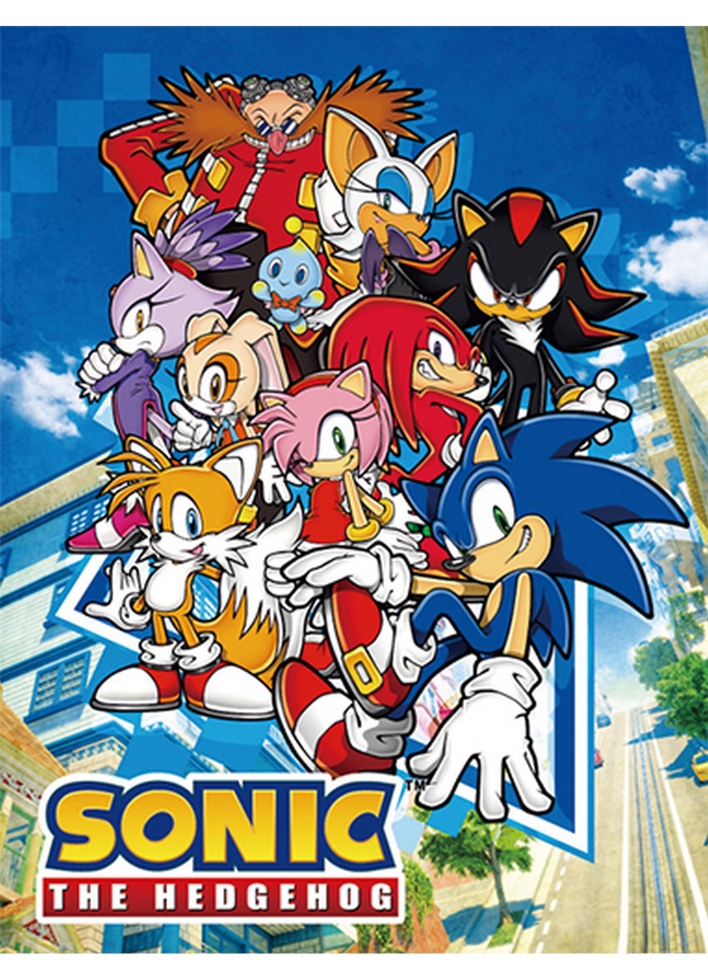 Sonic The Hedgehog - Big Group Sublimation Throw Blanket 46"W x 60"H