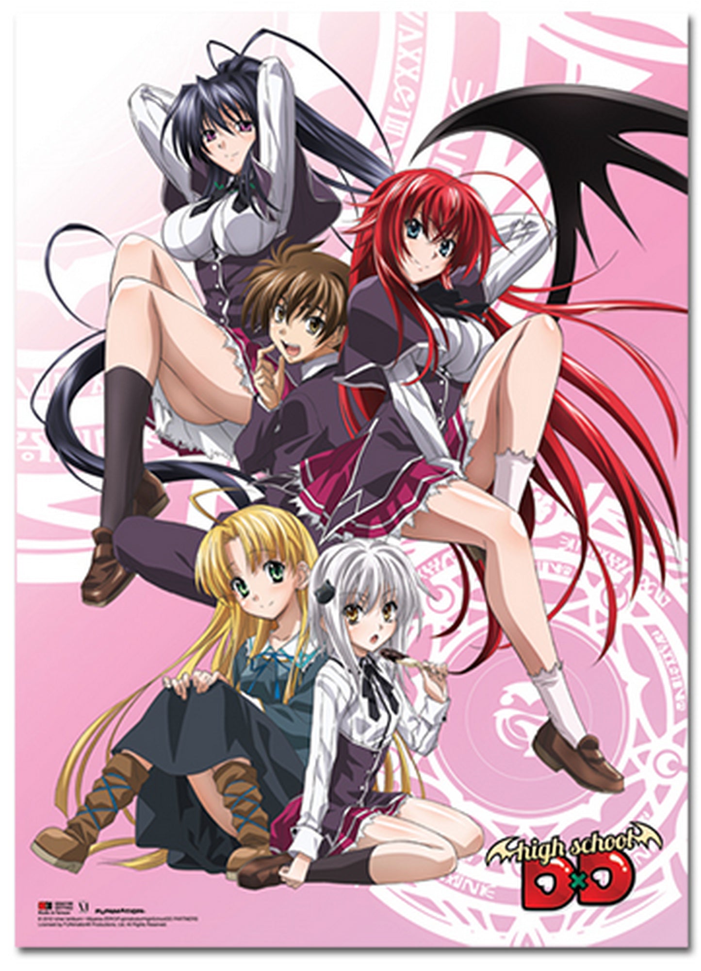 High School DxD - Key Art Wall Scroll 31"W x 43"H