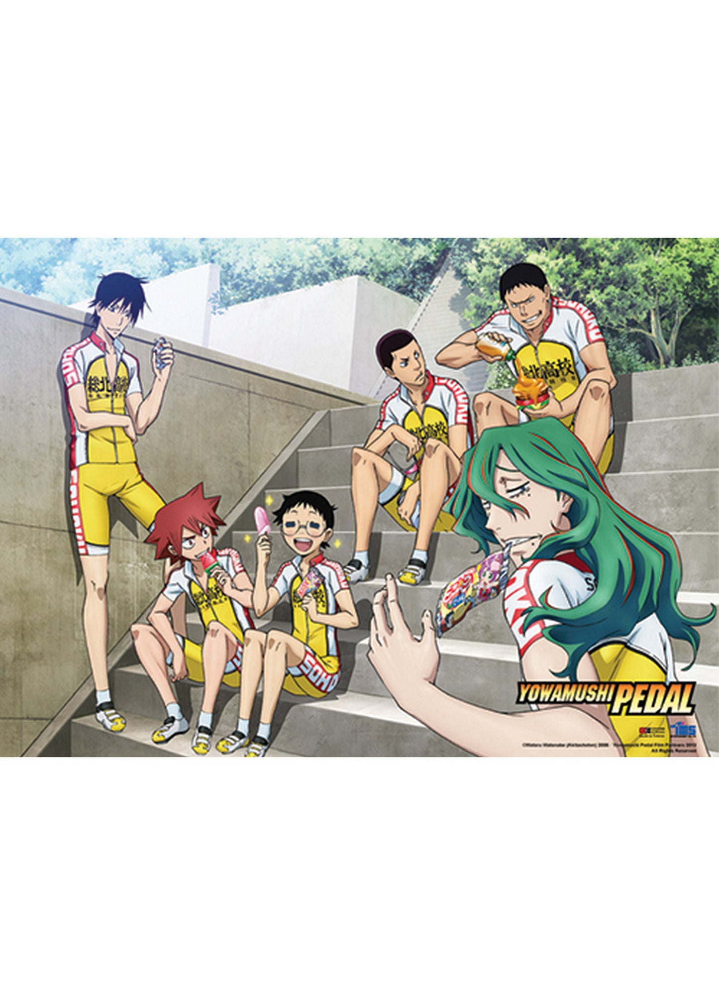 Yowamushi Pedal - Team Souhoku Wall Scroll 31"W x 43"H