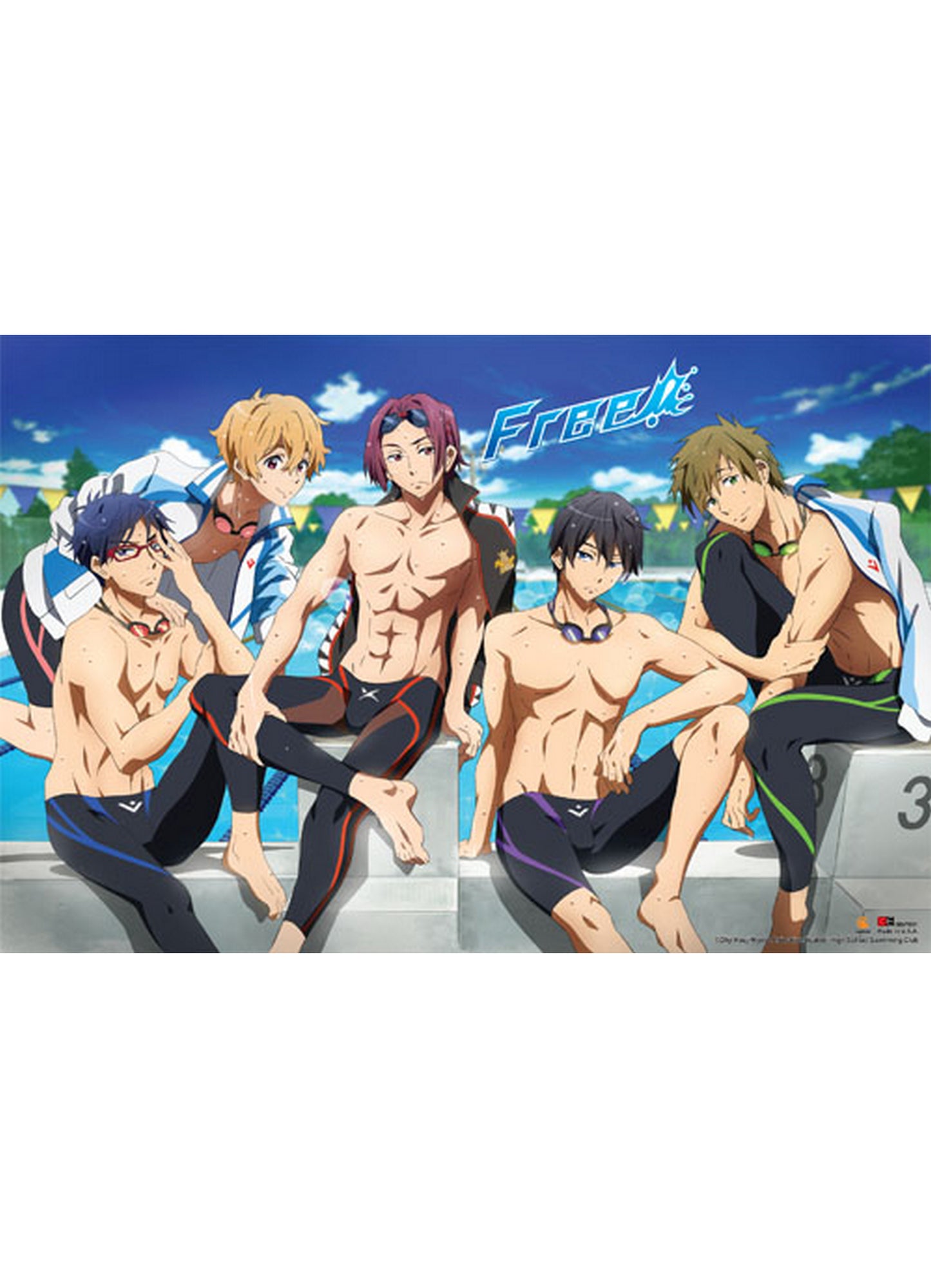 Free! - Group Swimsuit Paper Poster