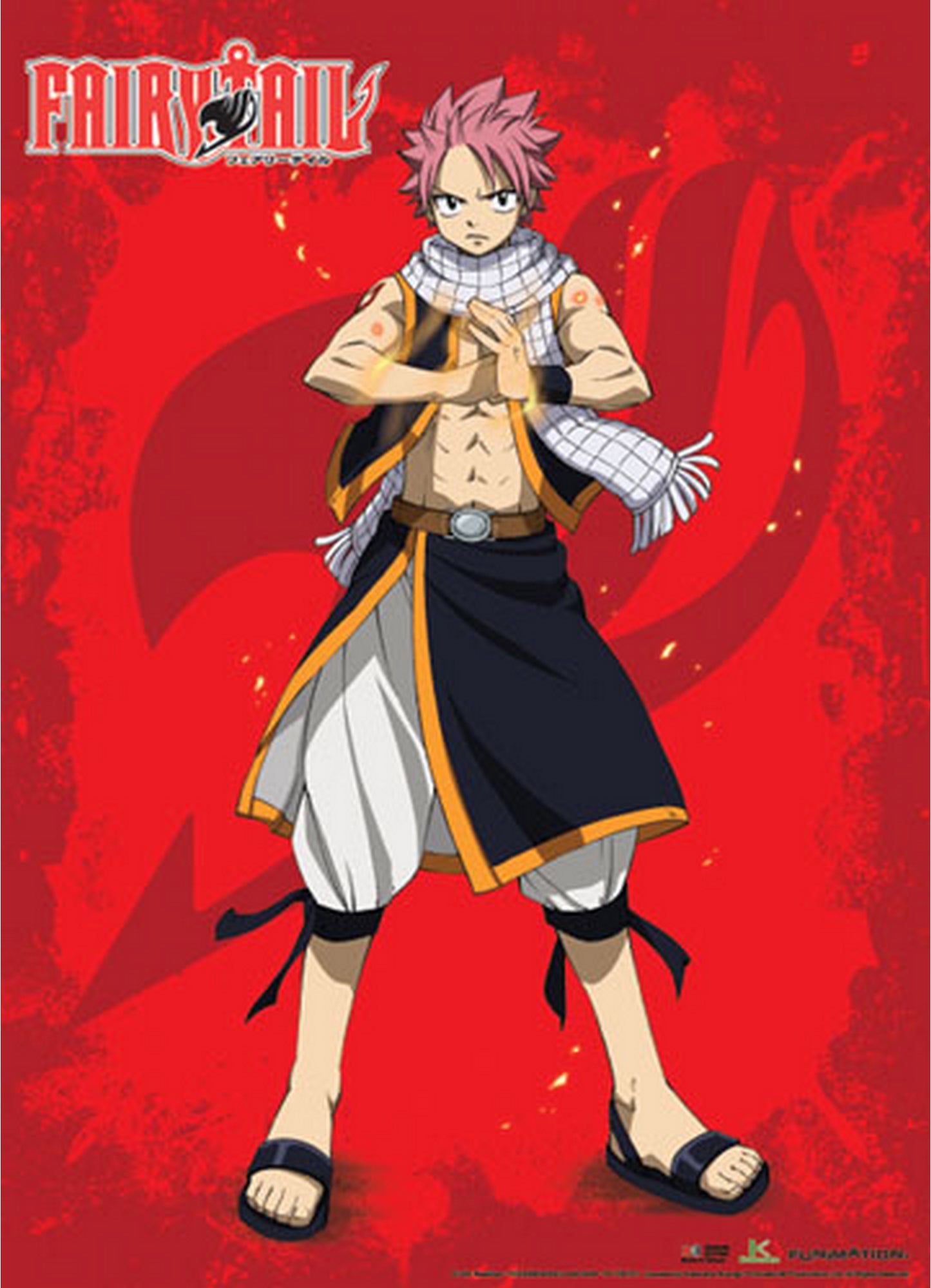 Fairy Tail - Natsu Dragneel Single Shot Fabric Poster
