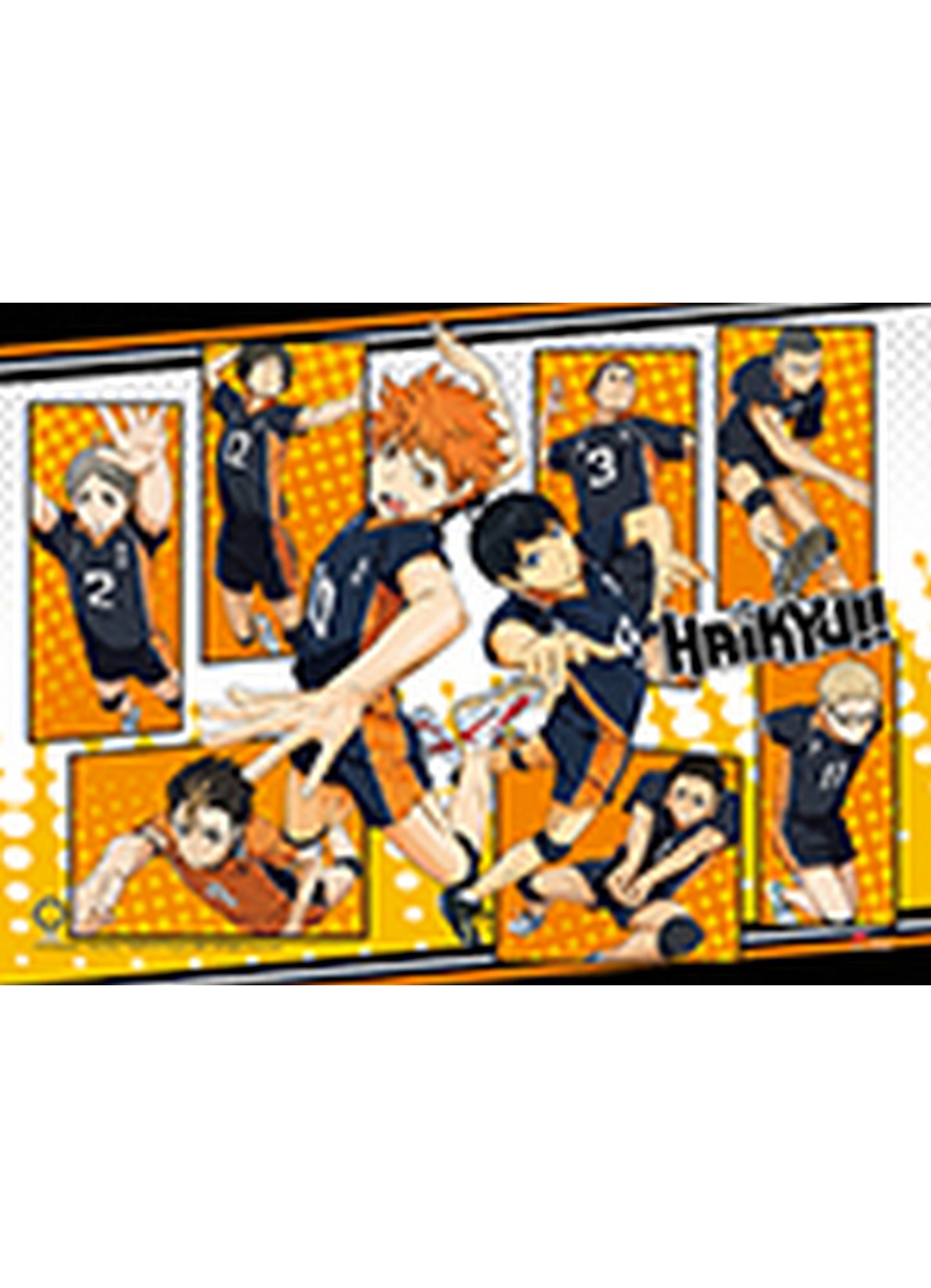 Haikyu - Group 2 Hi-End Wall Scroll 31"W x 43"H