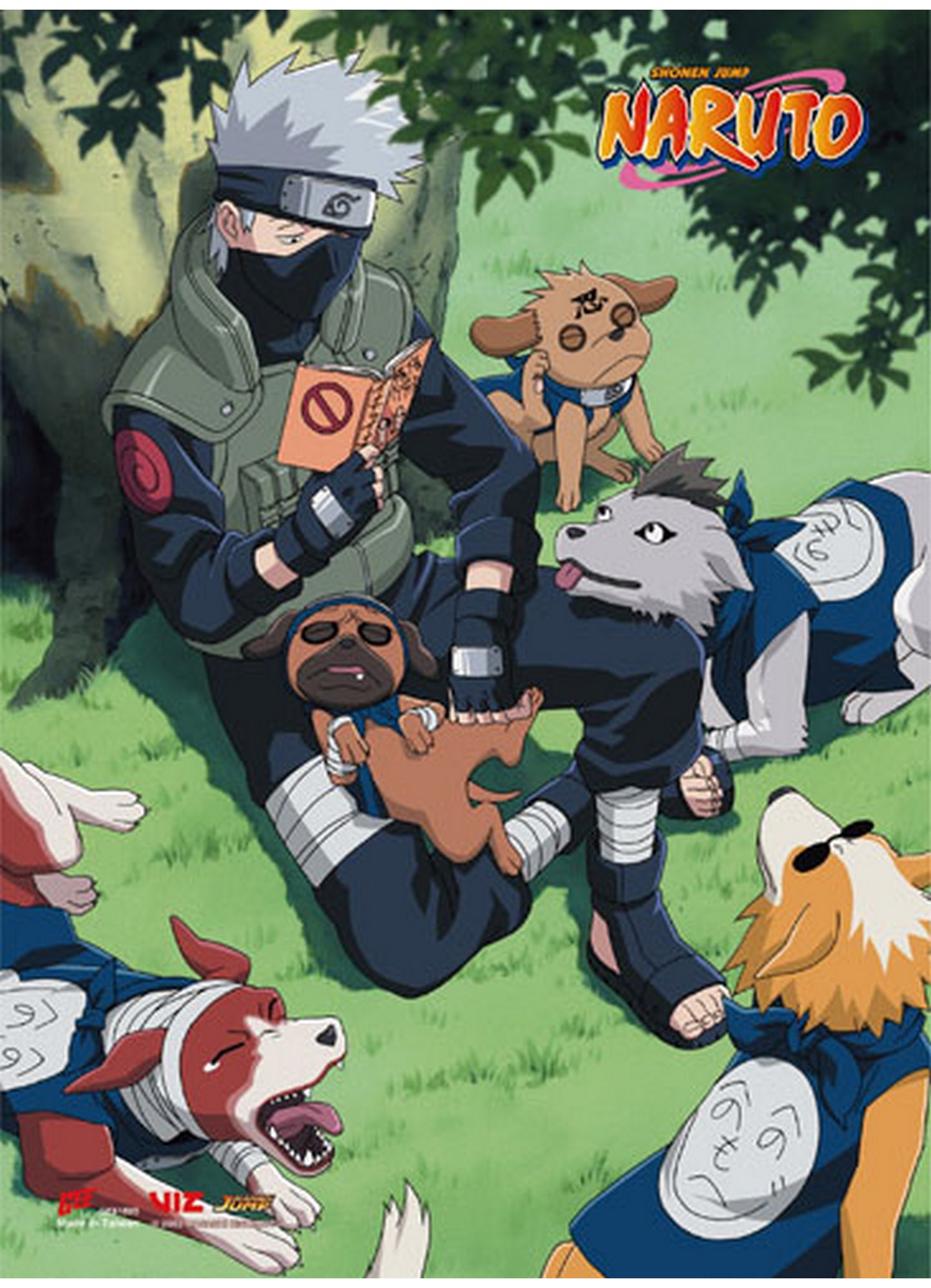 Naruto - Kakashi Hatake Reading SS Wall Scroll 18.5"W x 25.2"H