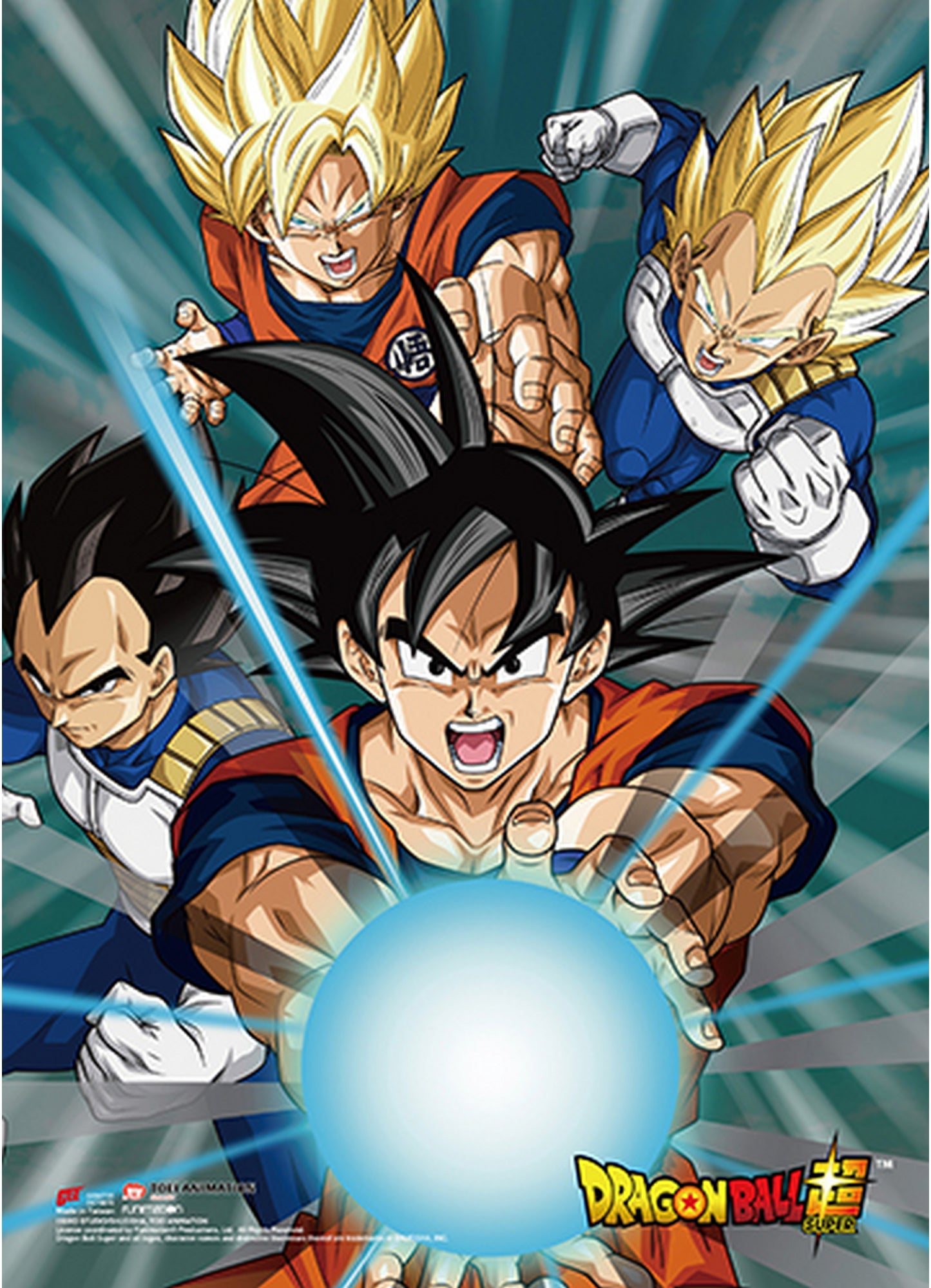 Dragon Ball Super - Battle Of Gods Group 05 Wall Scroll 31"W x 43"H
