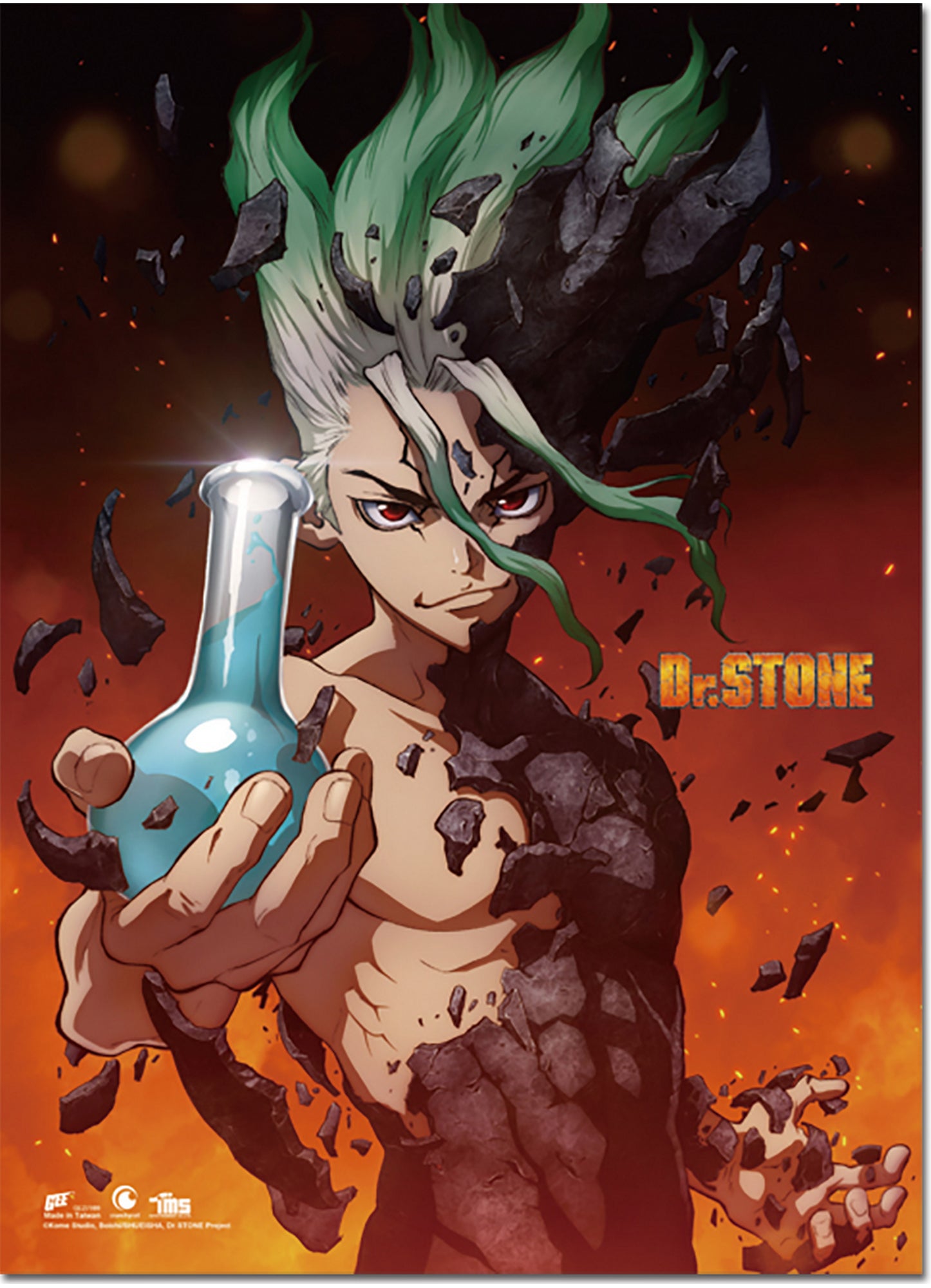 Dr. Stone - Senku Ishigami Wall Scroll 31"W x 43"H