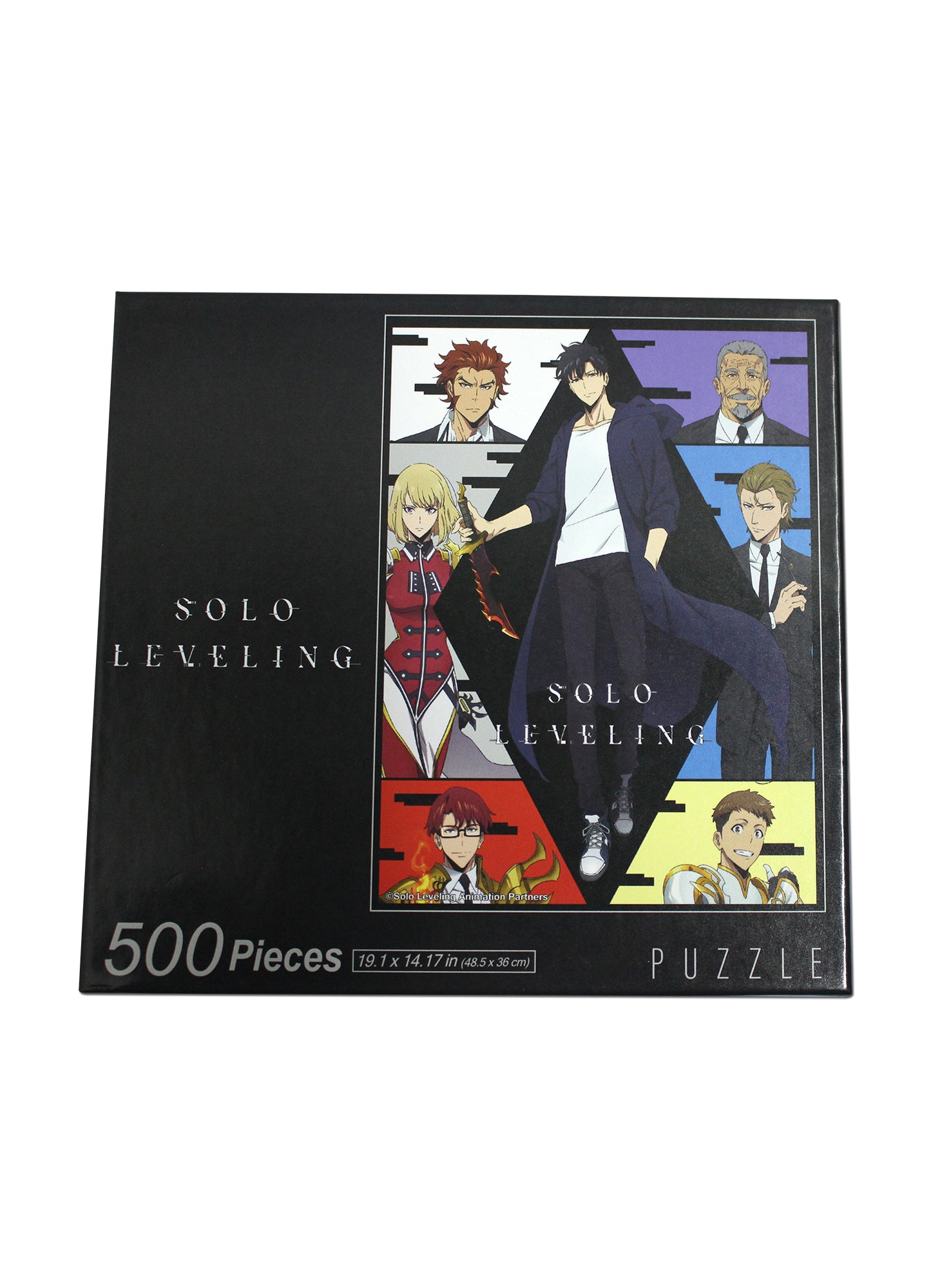 Solo Leveling - Sung Jinwoo With Other Character Color Art Puzzles