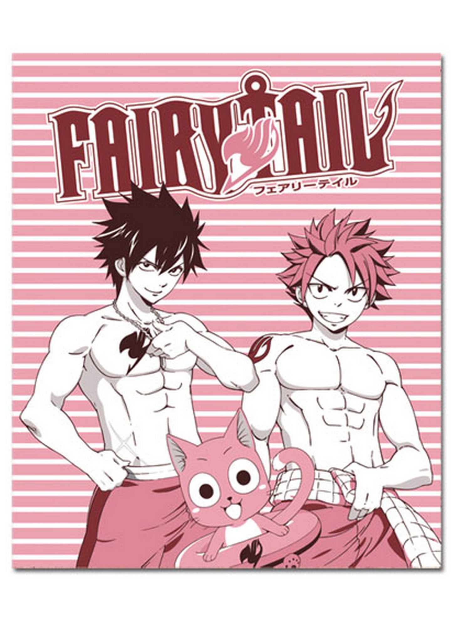 Fairy Tail S2 - Group Boys Throw Blanket 46"W x 60"H