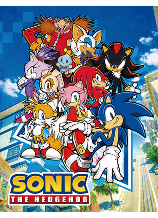 Sonic The Hedgehog - Big Group Sublimation Throw Blanket 46"W x 60"H