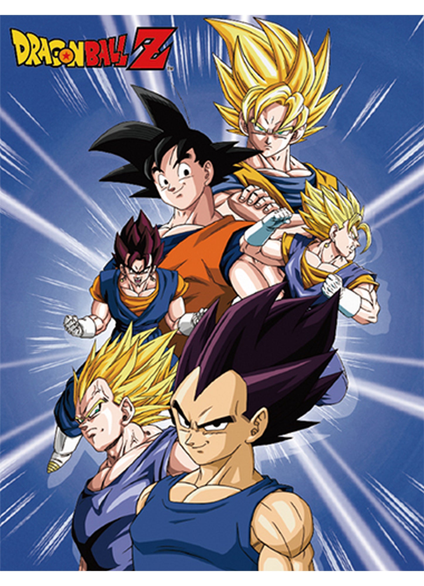 Dragon Ball Z - Group 5 Sublimation Throw Blanket 46"W x 60"H