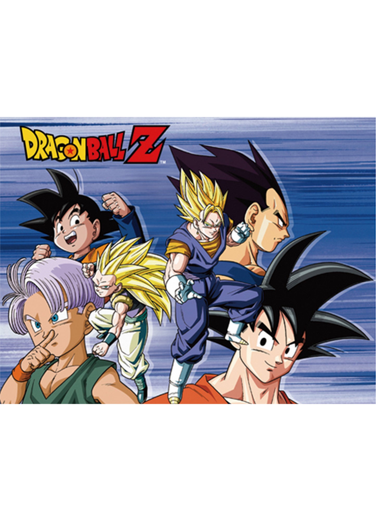 Dragon Ball Z - Group 6 Sublimation Throw Blanket 46"W x 60"H