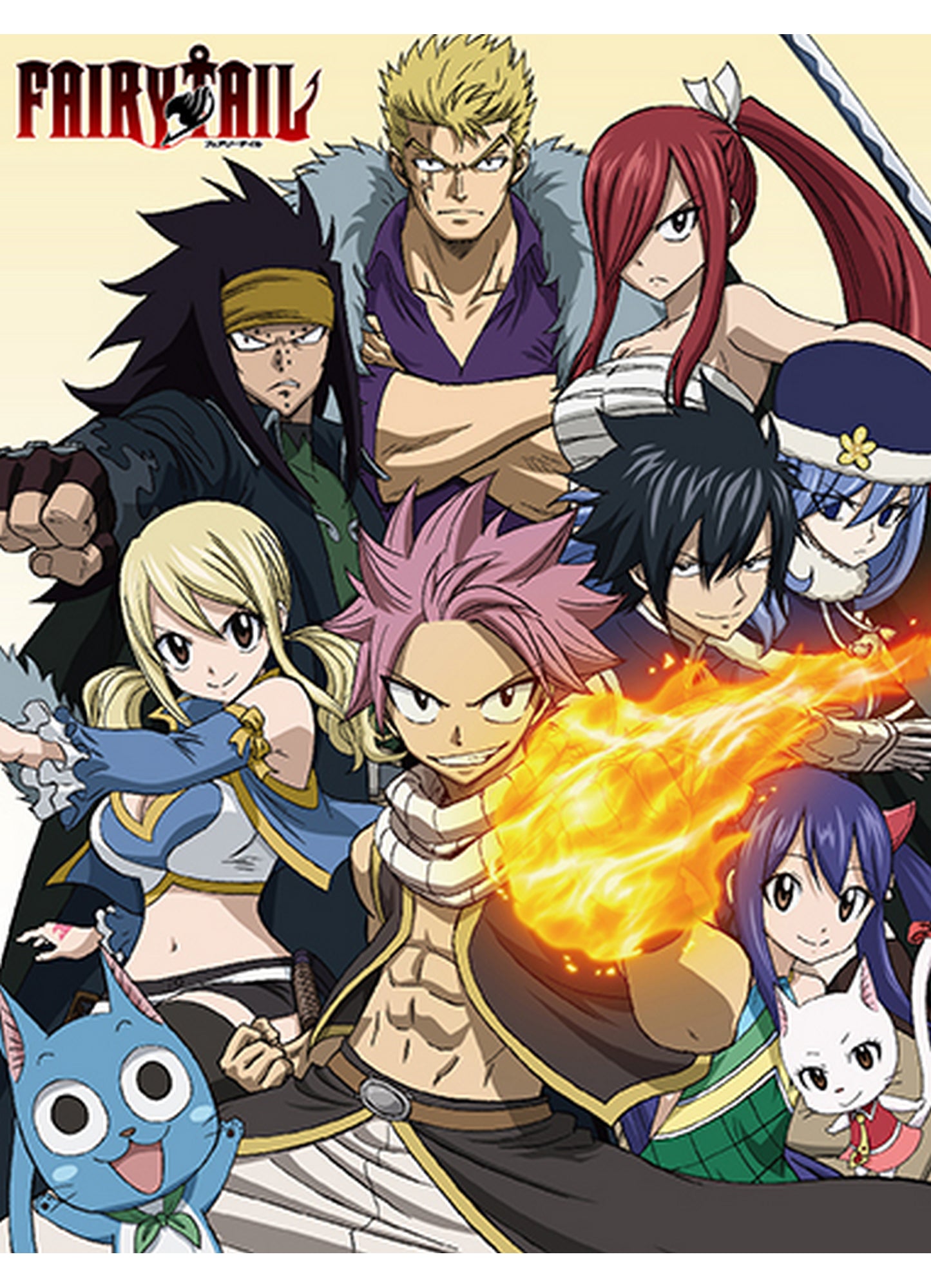 Fairy Tail S7 - Group Sublimation Throw Blanket 46"W x 60"H