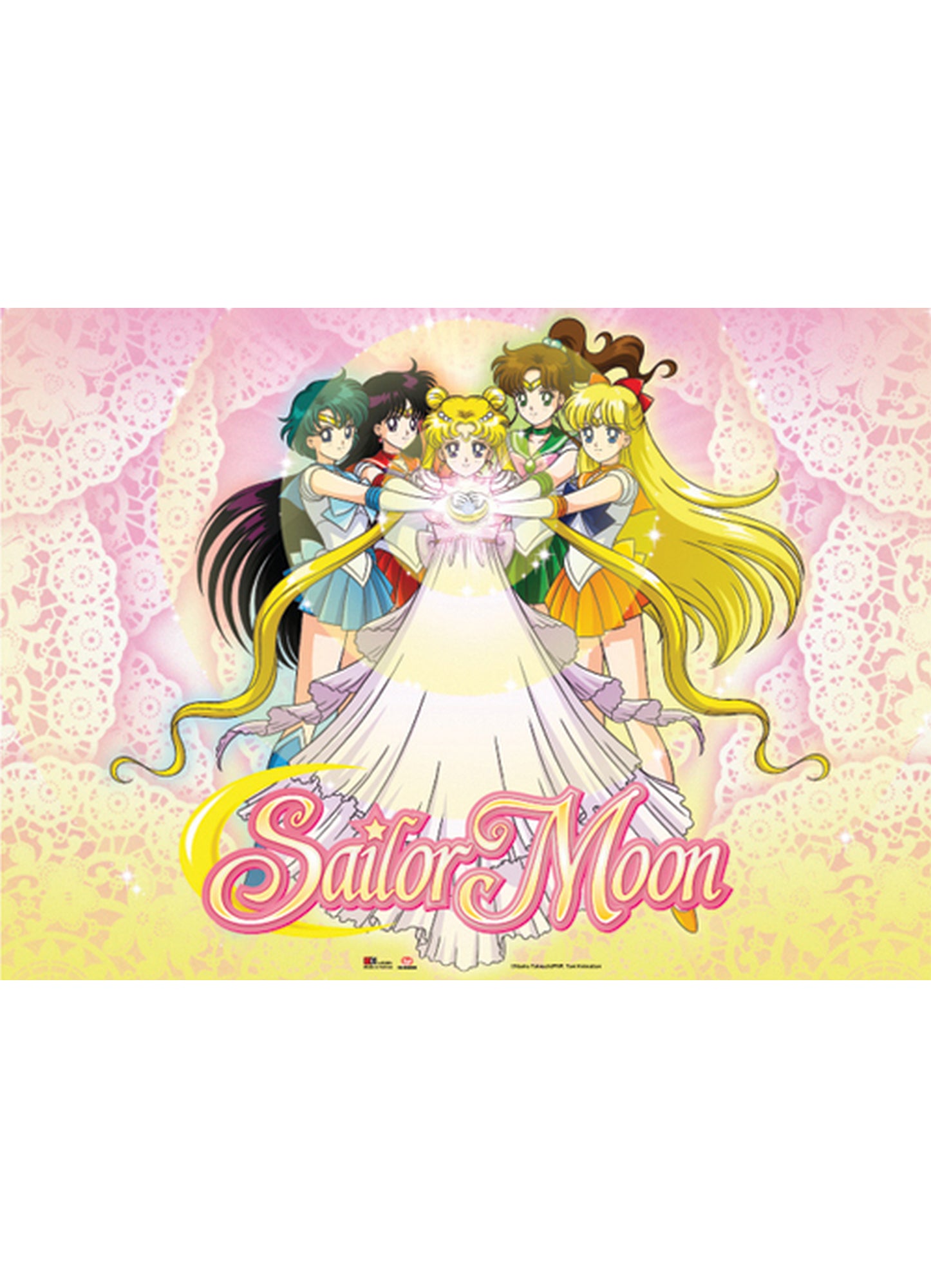 Sailor Moon - Group Wall Scroll 31"W x 43"H