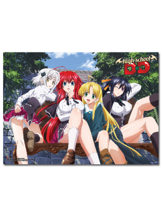 High School DxD - Group Wall Scroll 31"W x 43"H