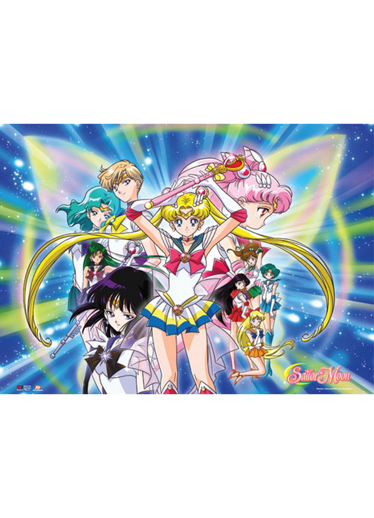 Sailor Moon - Group Wall Scroll 31"W x 43"H
