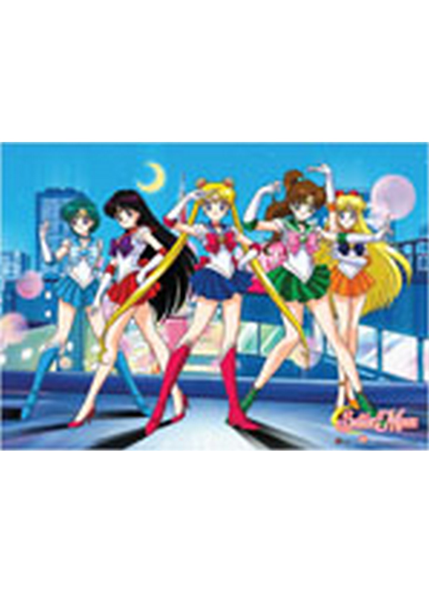 Sailor Moon - Girls Group Fabric Poster