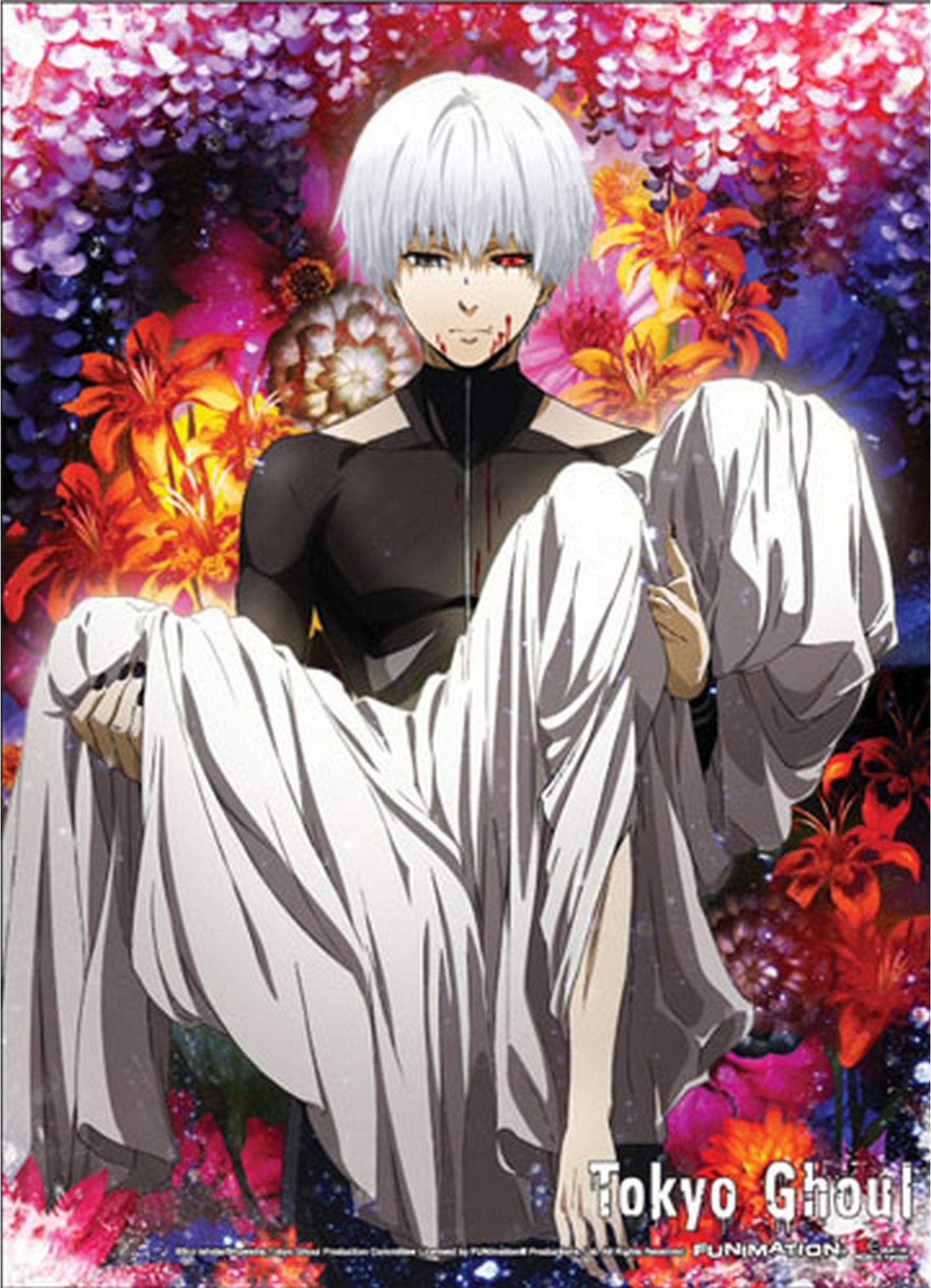 Tokyo Ghoul - Key Art 01 Special Edition Wall Scroll 31"W x 43"H