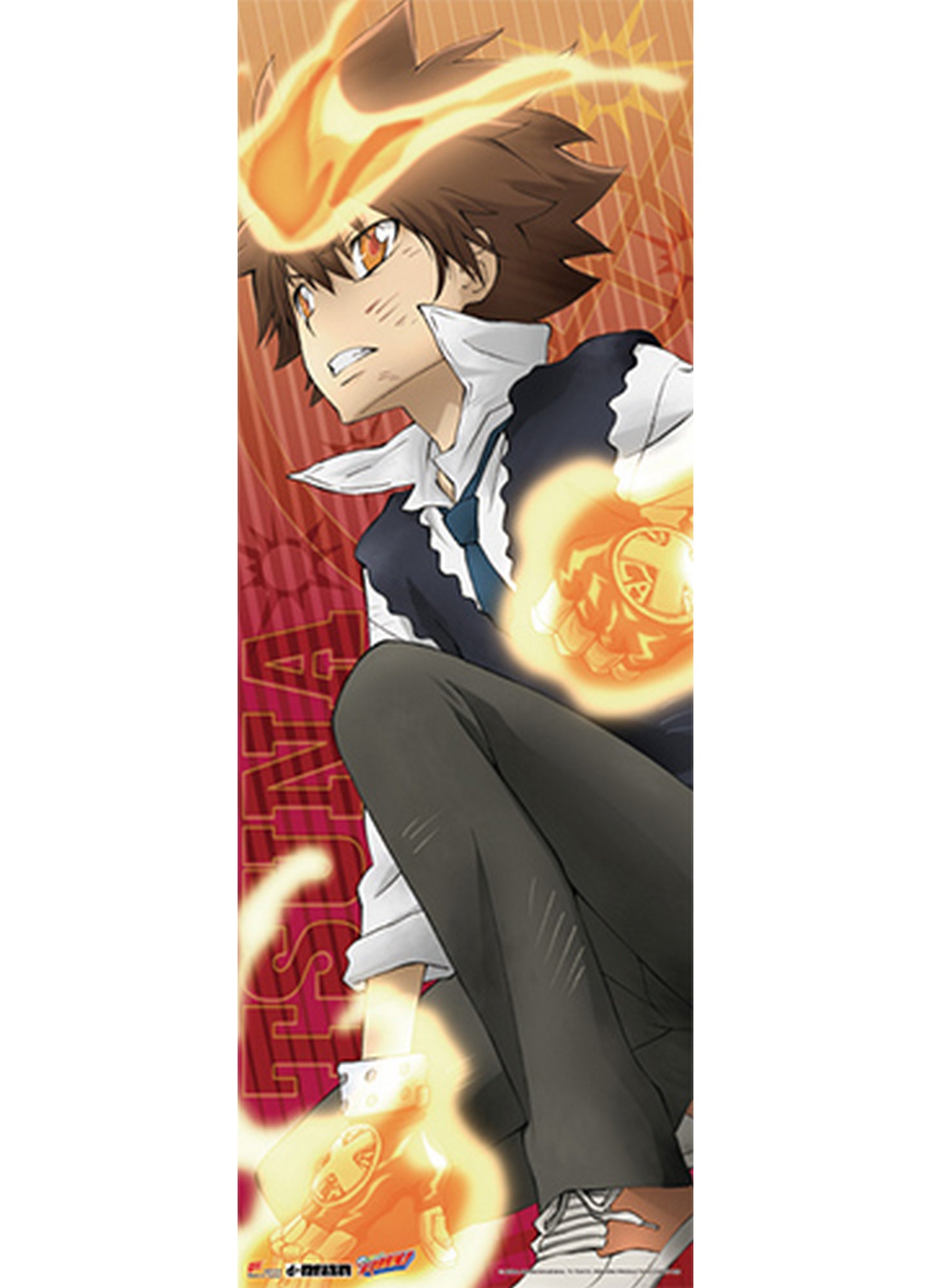 Reborn! - Tsunayoshi Sawada Human Size Se Wall Scroll 23.5"W x 67"H