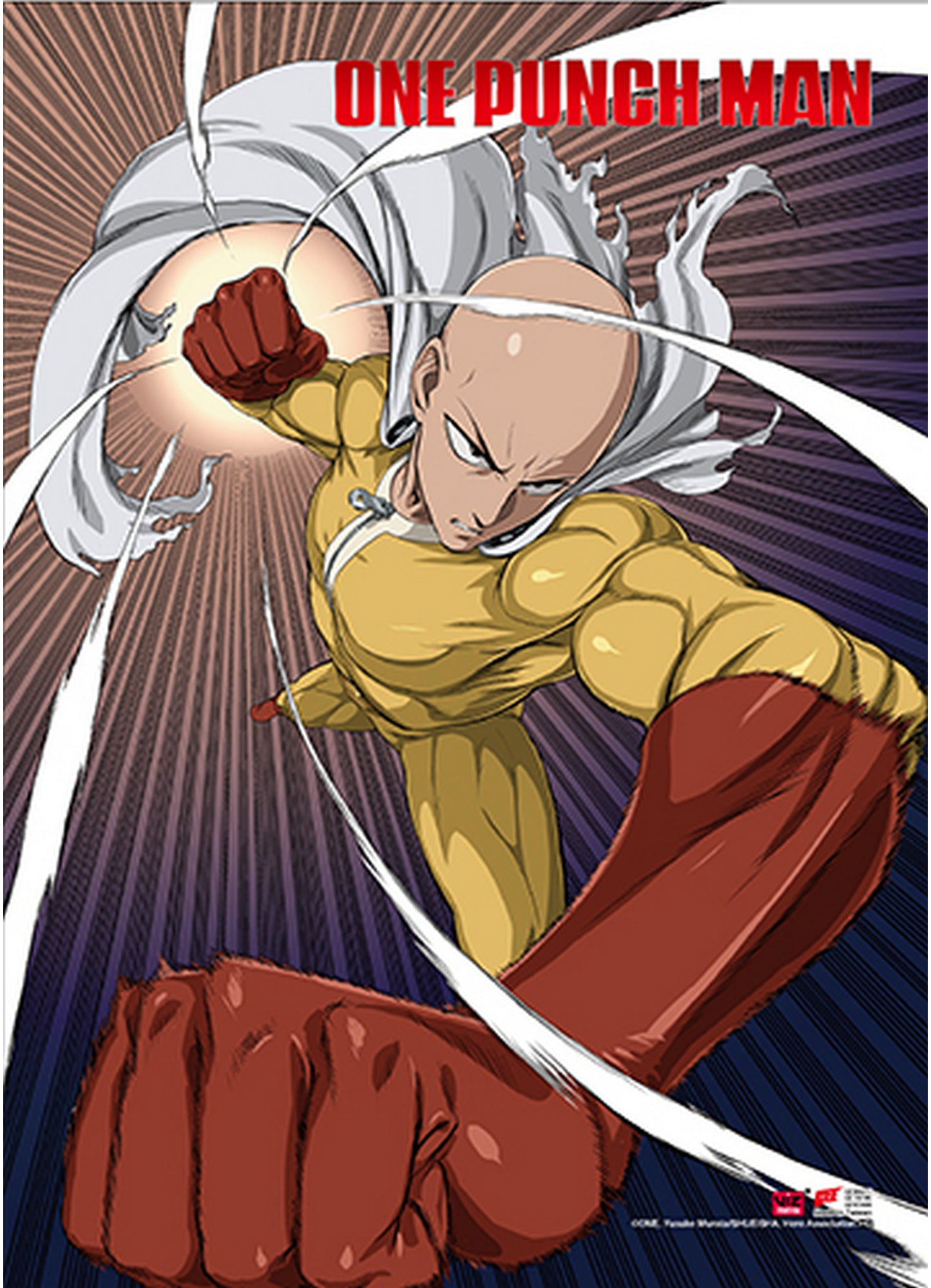 One Punch Man - Saitama _1 Wall Scroll 31"W x 43"H