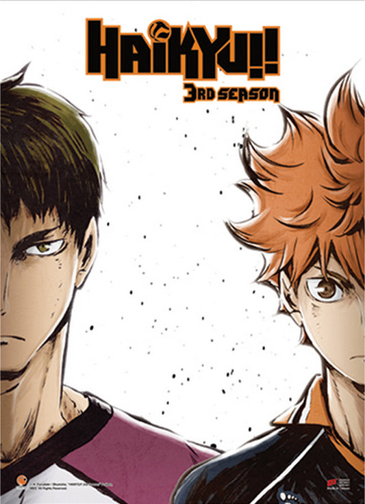 Haikyu S3 - Key Art Wall Scroll 31"W x 43"H