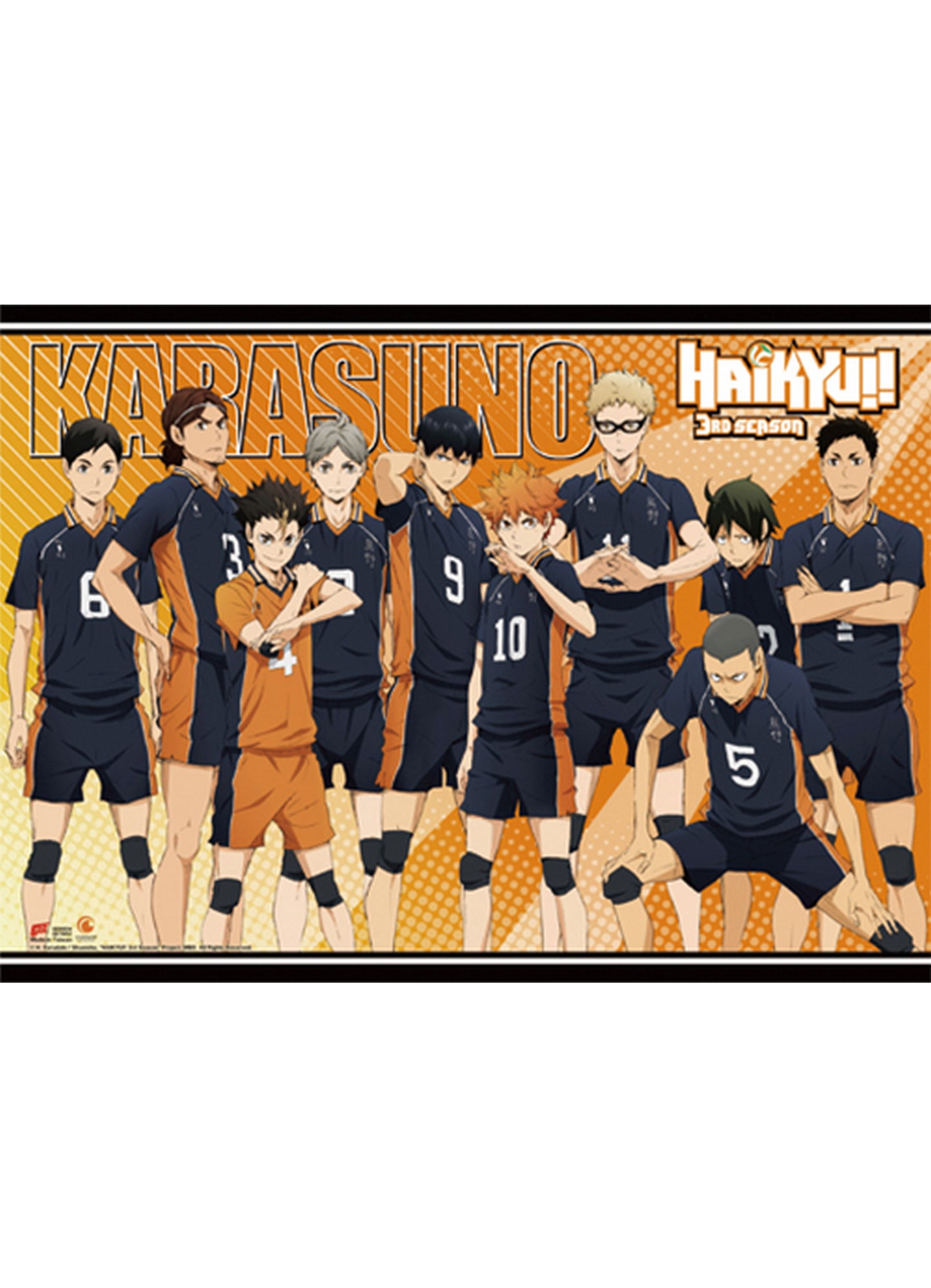 Haikyu S3 - Karasuno High School Wall Scroll 31"W x 43"H