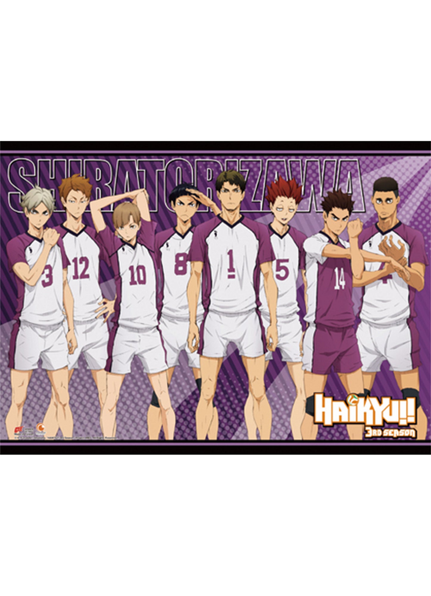 Haikyu S3 - Shiratorizawa High School Wall Scroll 31"W x 43"H